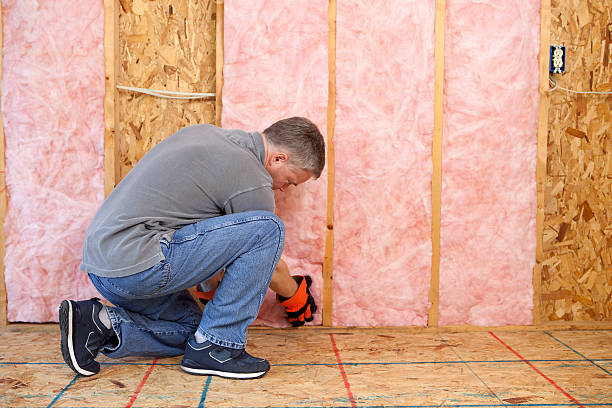Best Insulation for Specific Applications in Kaneohe, HI